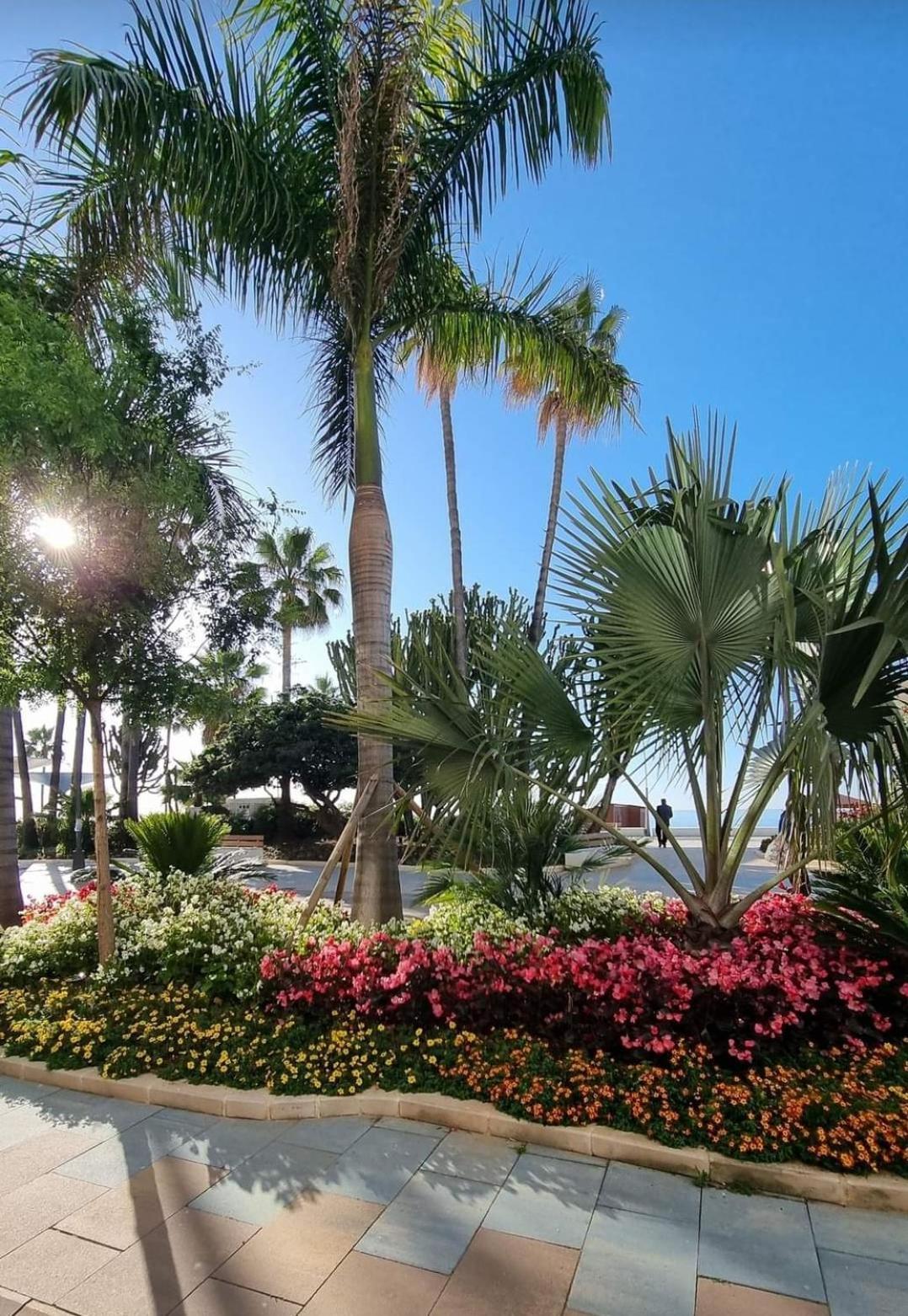 Seaside Serenity - Stylish Apartment With Spectacular Views Manilva Exterior foto